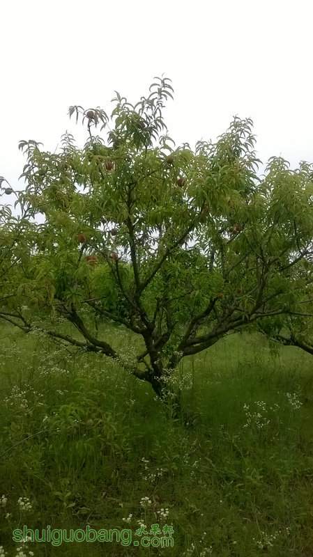 WP_20140621_013.jpg