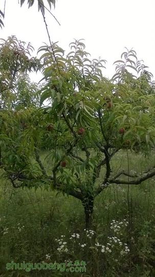 WP_20140621_014.jpg
