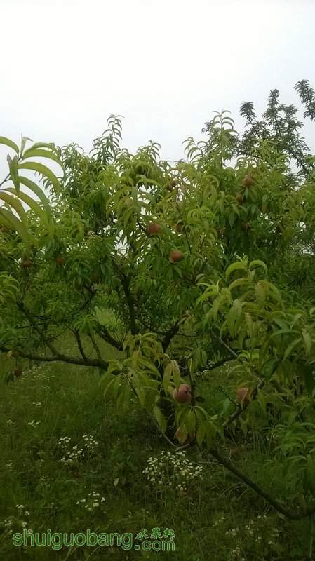 WP_20140621_015.jpg