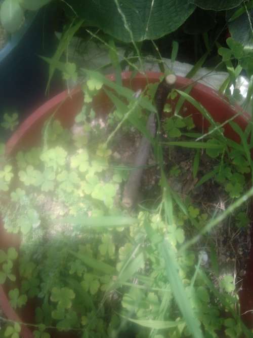 2014-06-13_11-46-19_903.jpg
