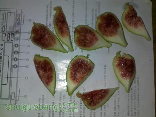 201406251045.jpg