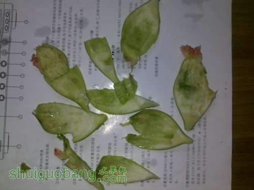 201406251051.jpg