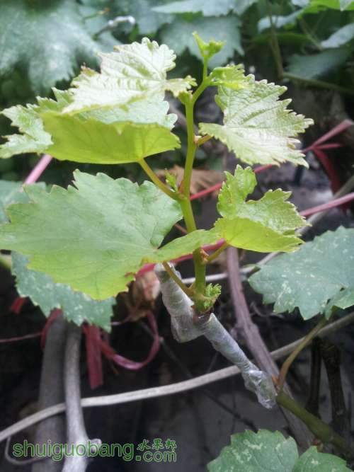 20140625_154729.jpg
