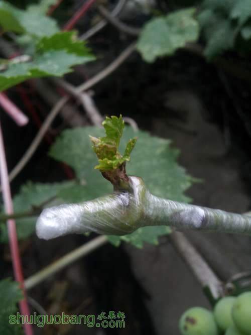 20140625_154733.jpg