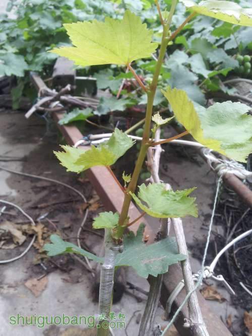 20140625_154814.jpg