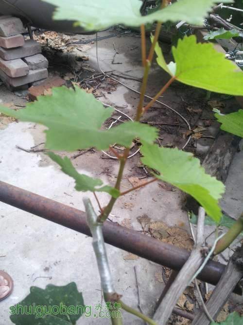 20140625_154817.jpg