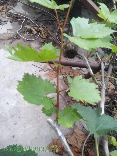 20140625_154824.jpg