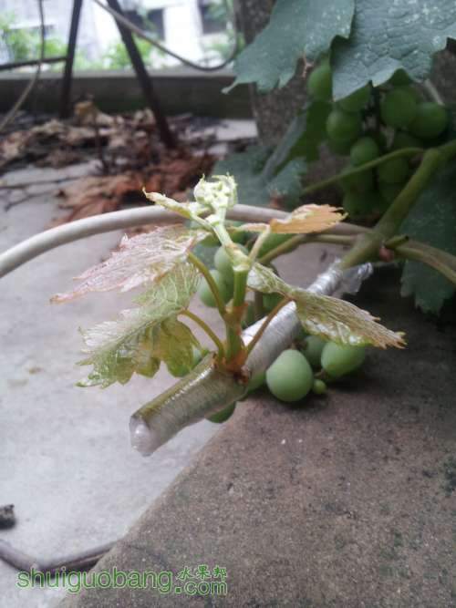 20140625_154903.jpg