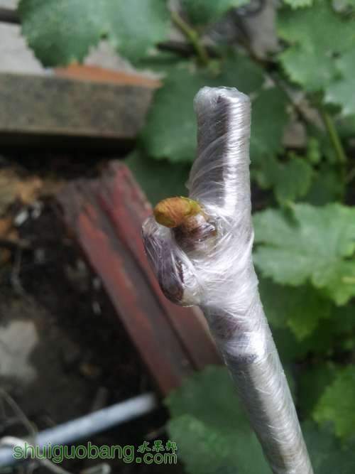 20140625_155015.jpg