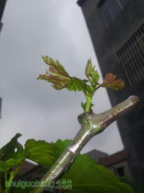 20140625_155201.jpg