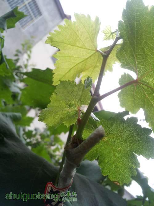 20140625_155240.jpg