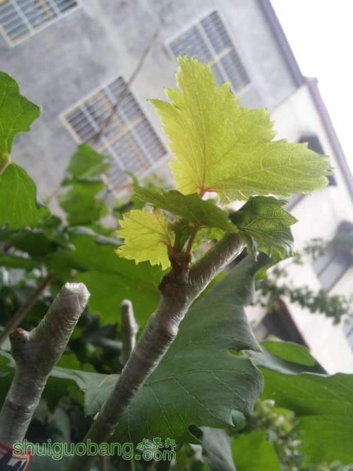 20140625_155244.jpg