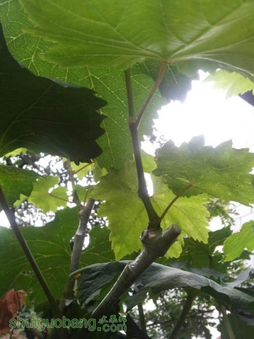 20140625_155252.jpg