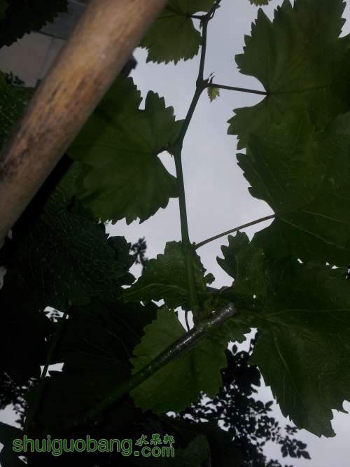 20140625_155314.jpg