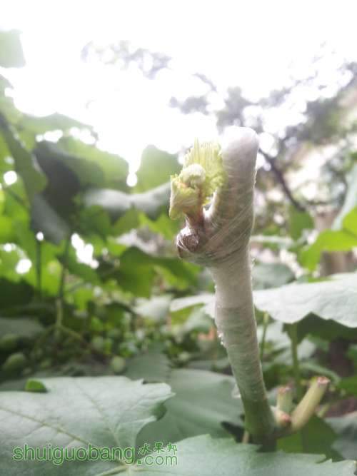 20140625_155421.jpg