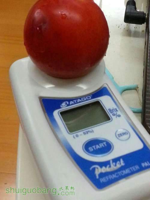236188530.jpg