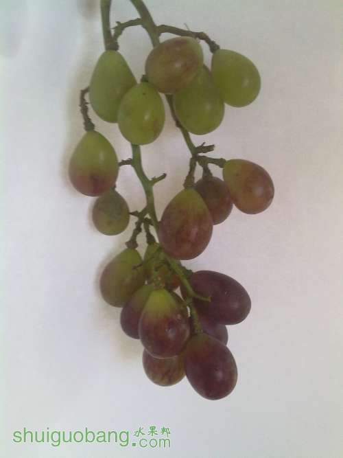 20140626599.jpg