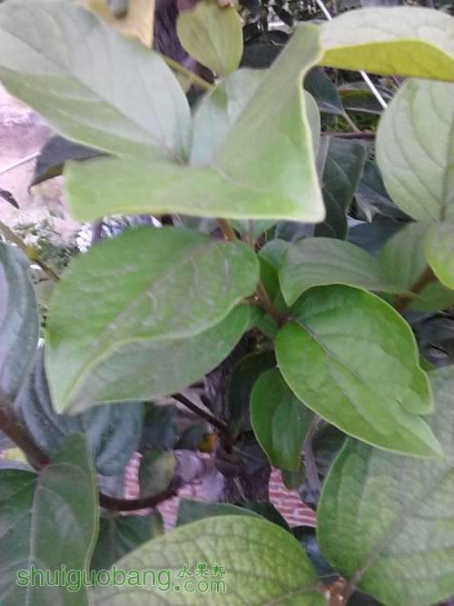 IMG_20140626_185204.jpg