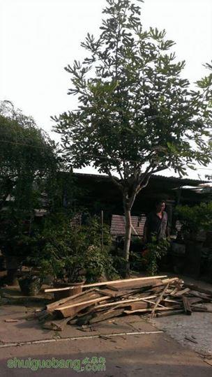 QQͼƬ20140626224756.jpg