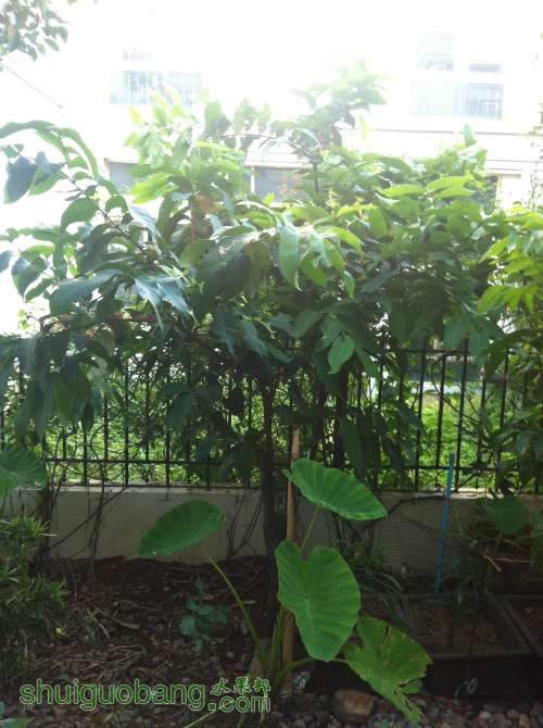 2014-06-27 064339.jpg