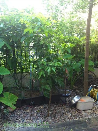 2014-06-27 064335.jpg