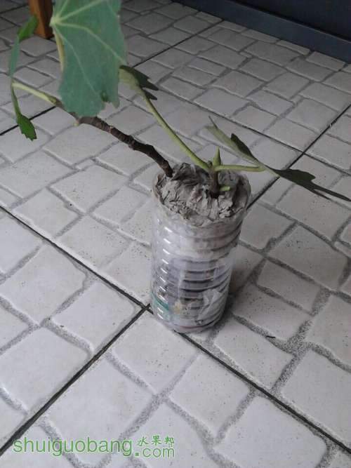 ޻1.jpg