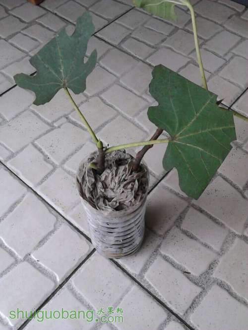 ޻2.jpg