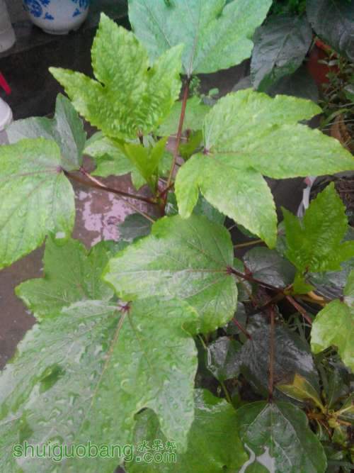 QQͼƬ20140627205735.jpg