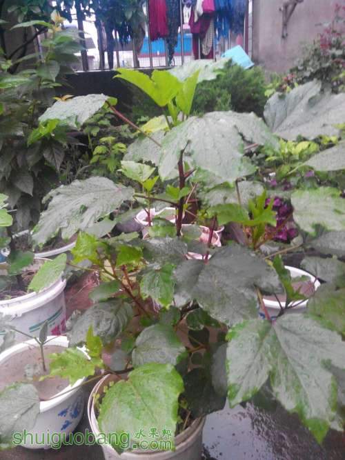 QQͼƬ20140627205816.jpg