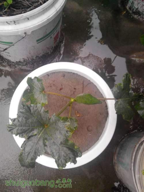 QQͼƬ20140627205731.jpg