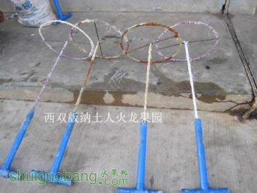757c3ac4xa4e49fbe8aa6&690.jpg