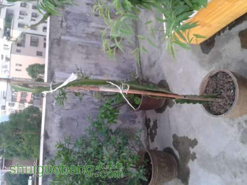 20140526_184716.jpg