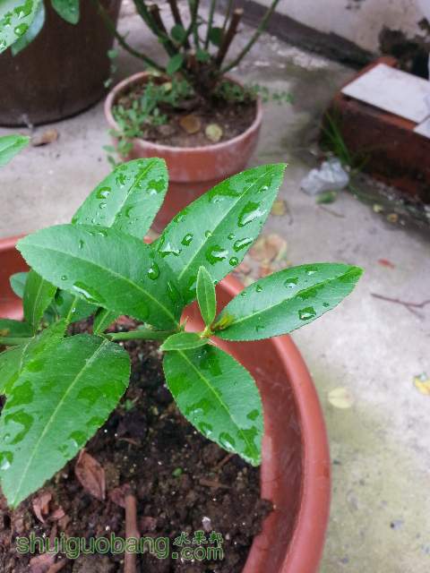 20140625_122047_mh1403993659343.jpg