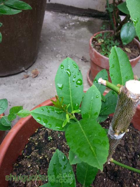20140625_122056_mh1403993645789.jpg