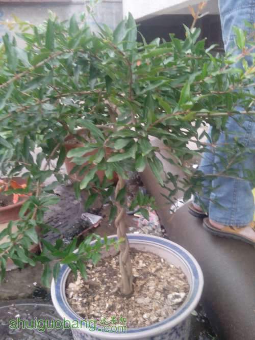 IMG20140616113114.jpg