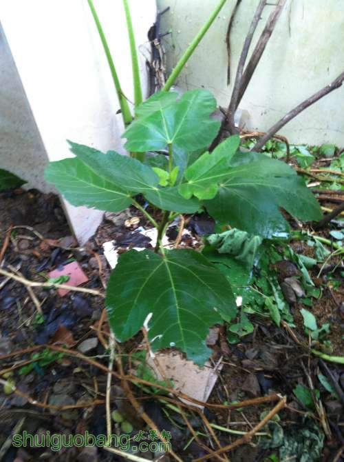 2014-06-30 064519.jpg