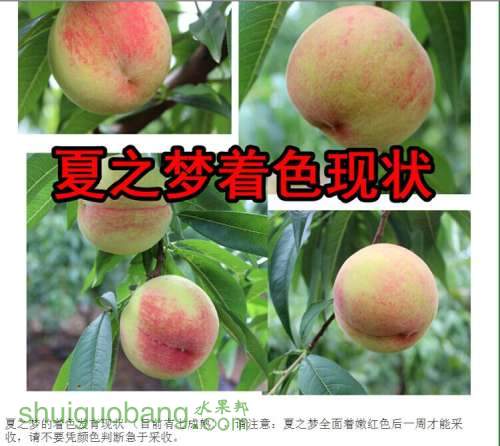 QQͼƬ20140630103251.jpg