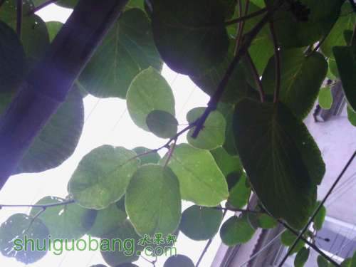 IMG_20140630_190324.jpg
