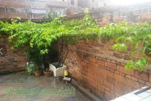 QQͼƬ20140702161544.jpg