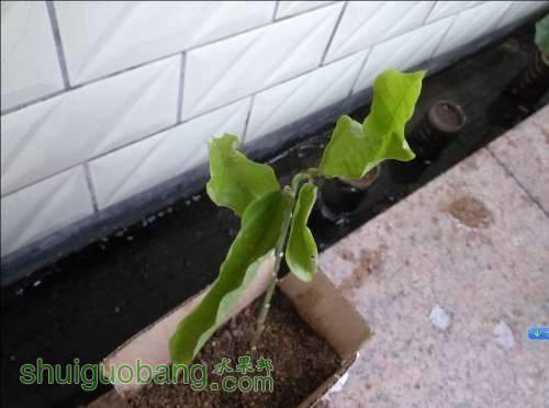 QQͼƬ20140702220055.jpg