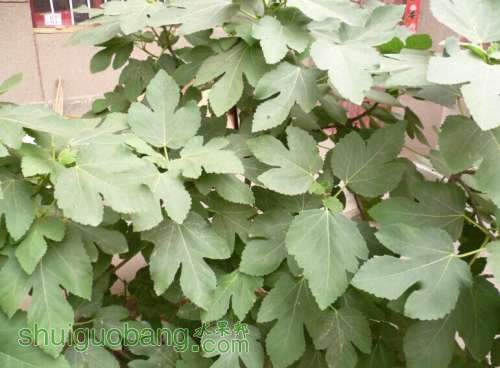 QQͼƬ20140703131710.jpg