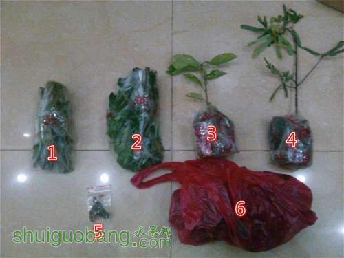 IMG_20140702_214622_meitu_1.jpg