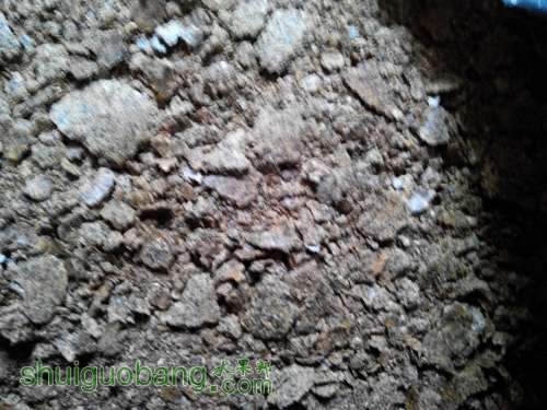QQͼƬ20140703204351.jpg