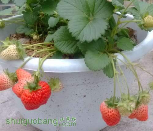 QQͼƬ20140705202851.jpg
