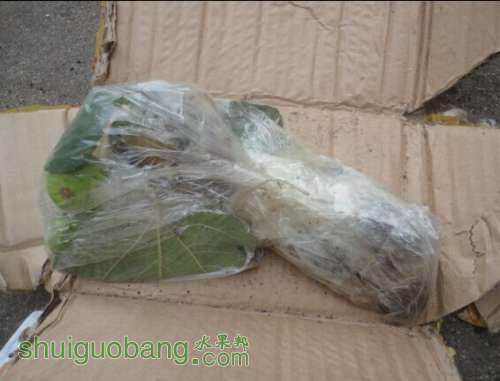 jiao1.jpg