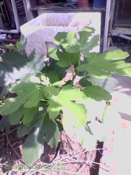 IMG_20140707_091448.jpg