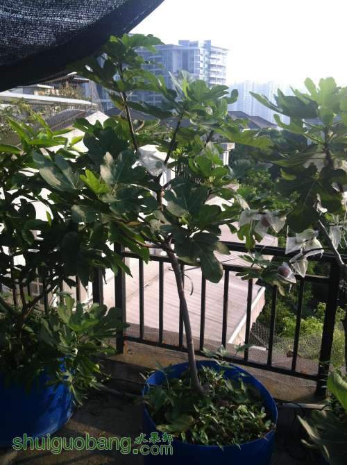2014-07-09 072831.jpg