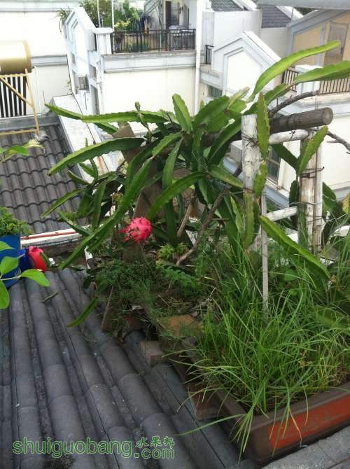 2014-07-10 075635.jpg