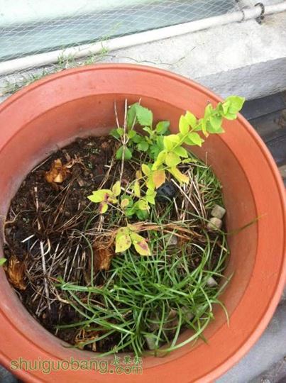 2014-07-10 080055.jpg