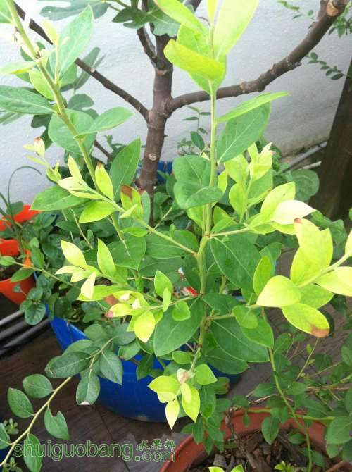 2014-07-10 080233.jpg